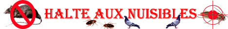 STOP-NUISIBLE est spécialisée dans la désinsectisation, la dératisation, désinfection , l'hygiène urbaine antiparasitaire, l'héradication des insects, cafards, blattes, fourmis, puces, punaises, mites, la supression des rongeurs, rats, souris, les dÃ©infections du aux champignons, la dÃ©pigeonnisation, en gÃ©nÃ©rale toutes nuissances parasitaires, Paris et Ile de France